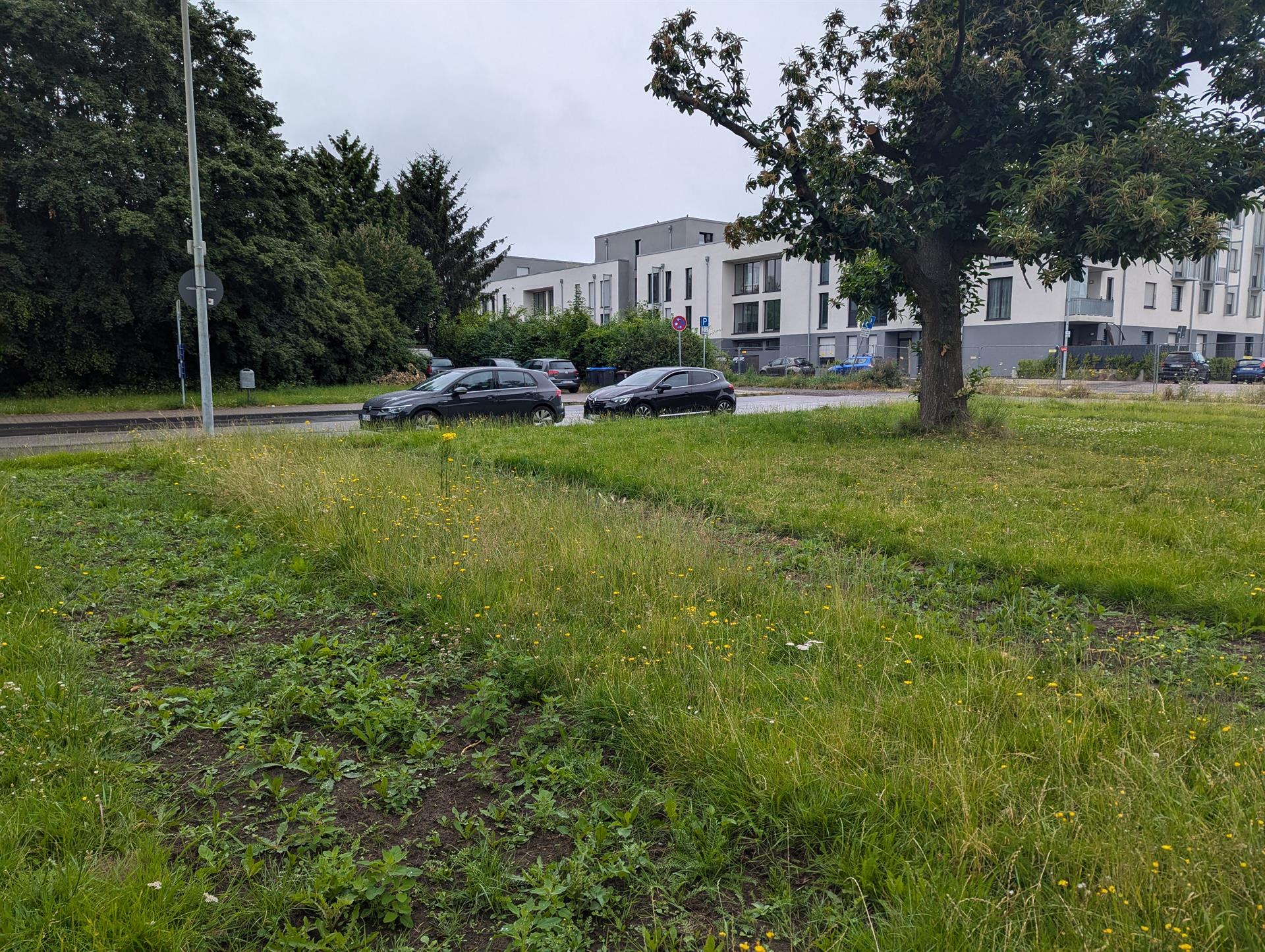 Bonnstraße, Tanzsportzentrum / Buswendeplatz