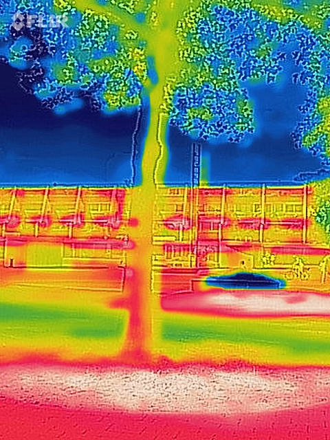Thermografieaufnahme Balthasar-Neumann-Platz