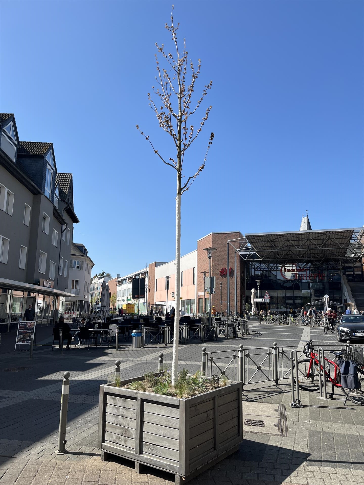 Mobiler Baum an der Giesler Galerie