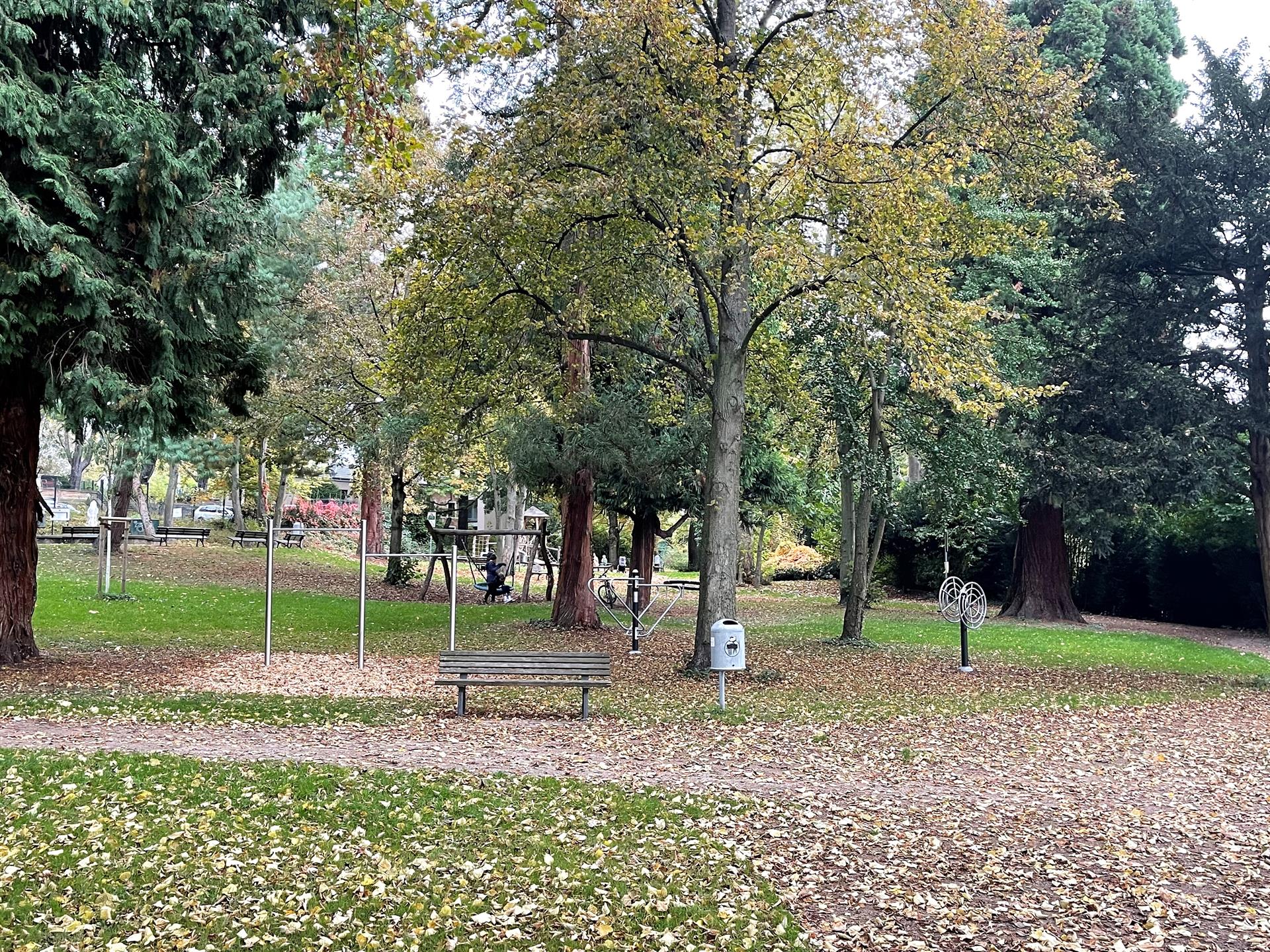 Fitnessgeräte mit Wald