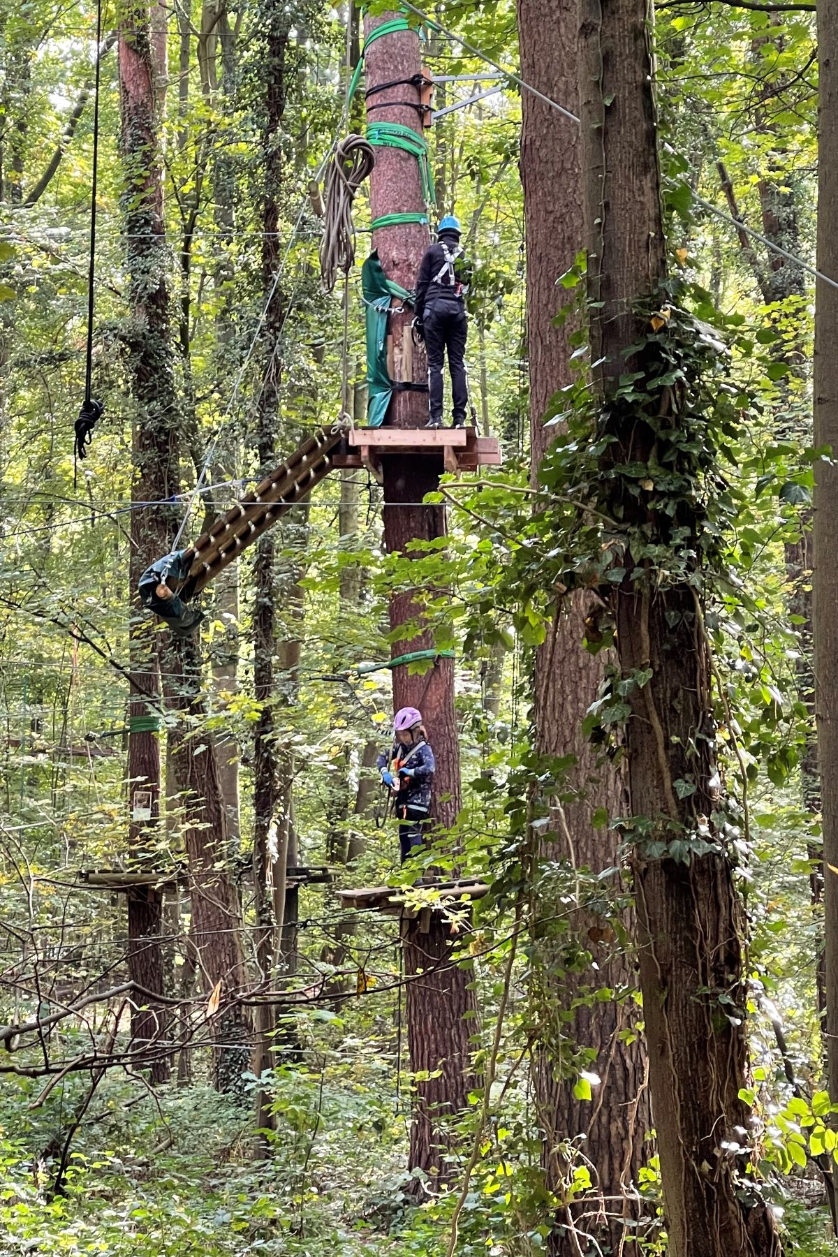 Kletterwald Schwindelfrei