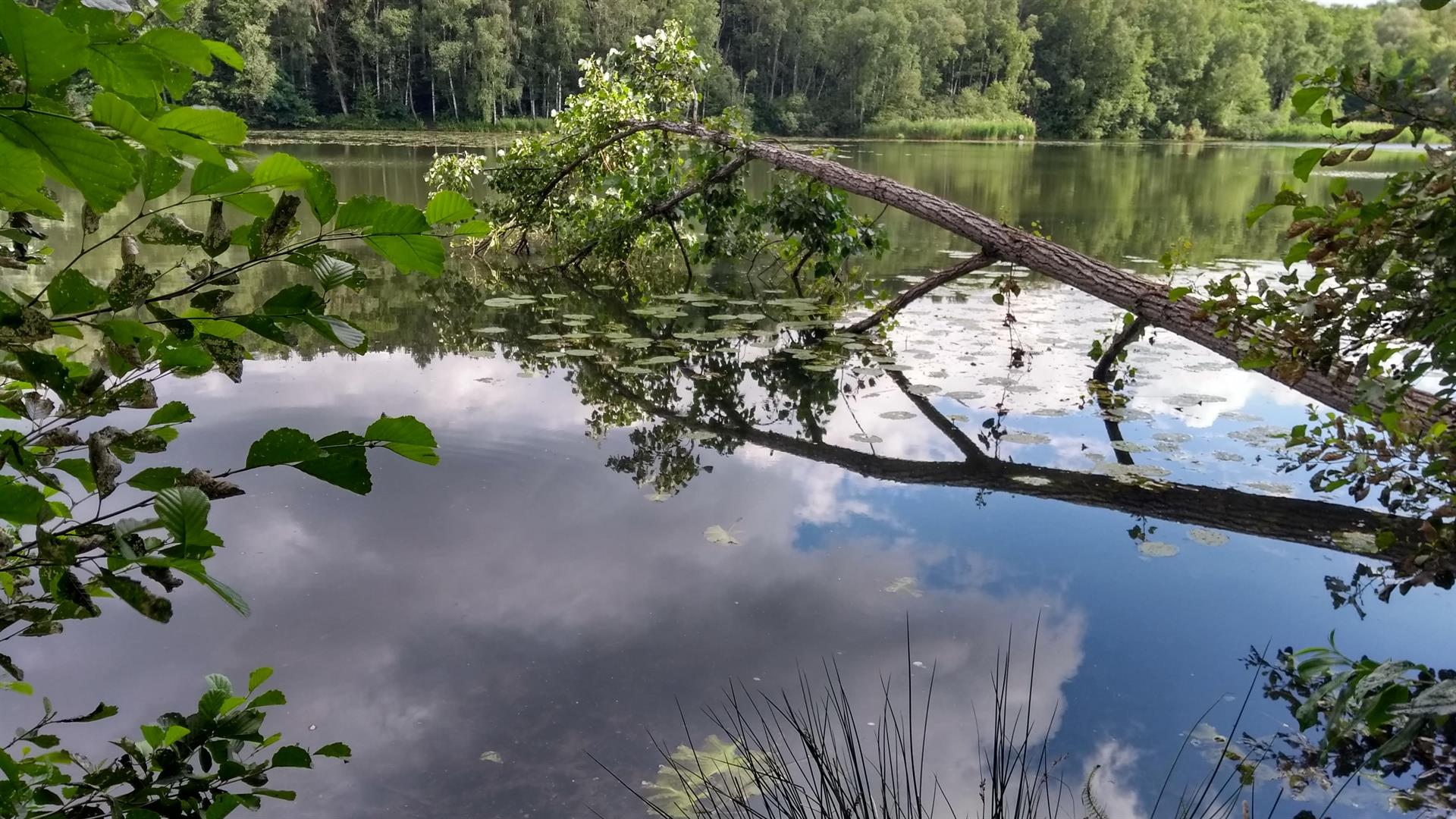 (c) Sabine Müller-Braun